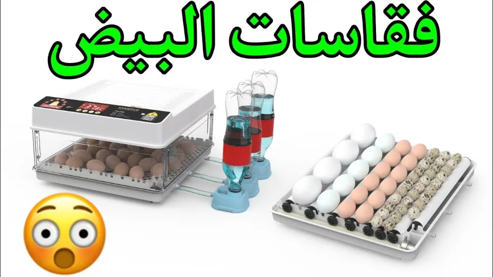 شرح تركيب وبرمجة فقاسة البيض الأوتوماتيكية